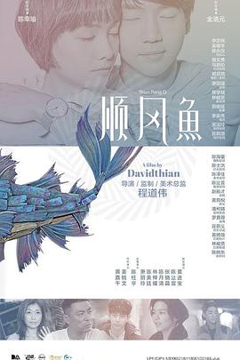 中文乱码字幕