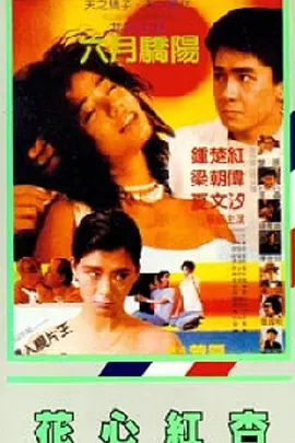 亚洲精品视频免费在线观看