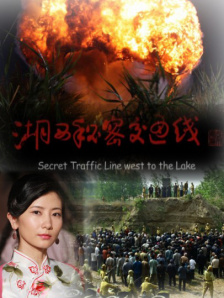 免费国产之a视频